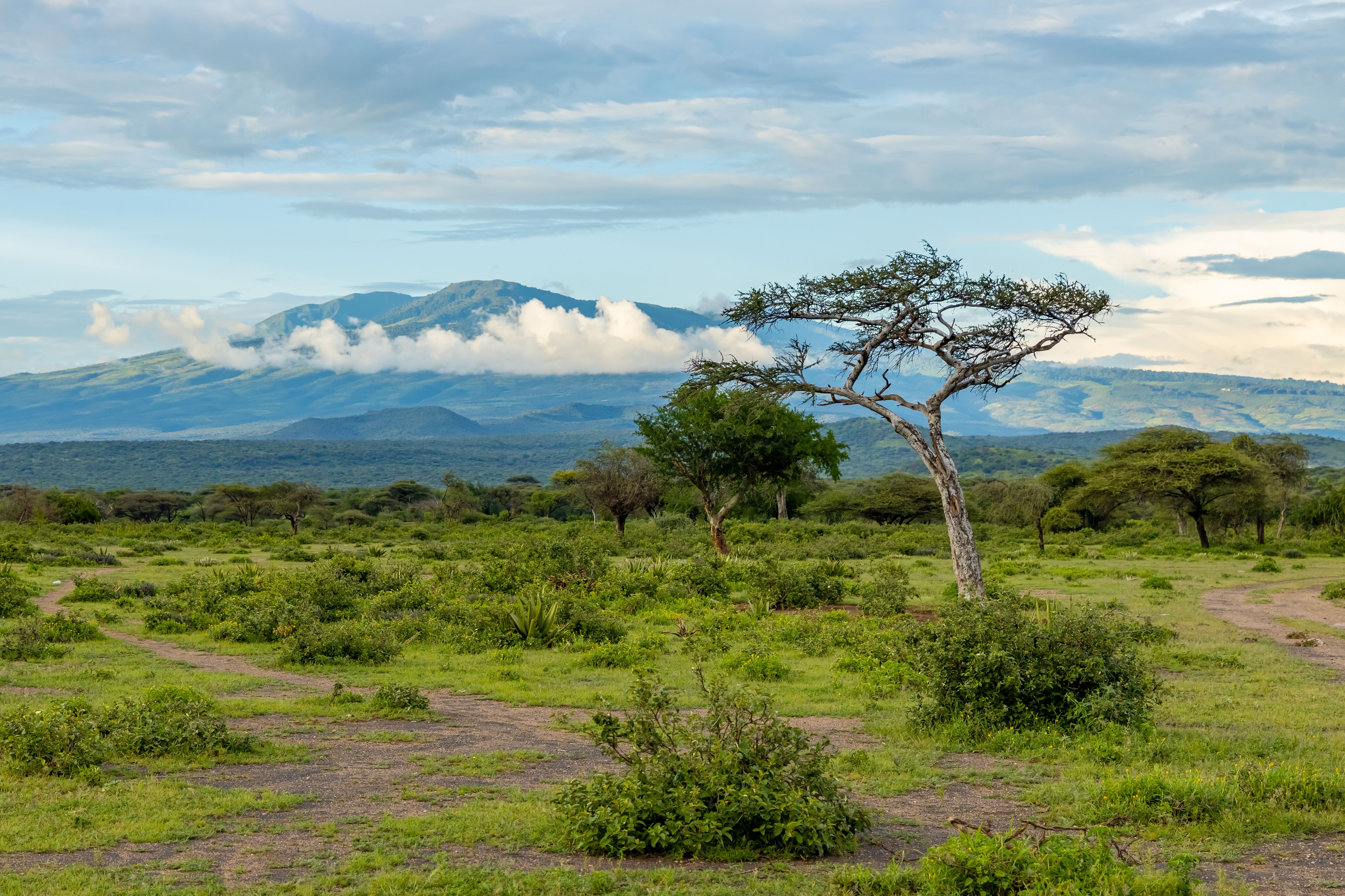 Mount Longonot Crater Rim Hike (1 Day)