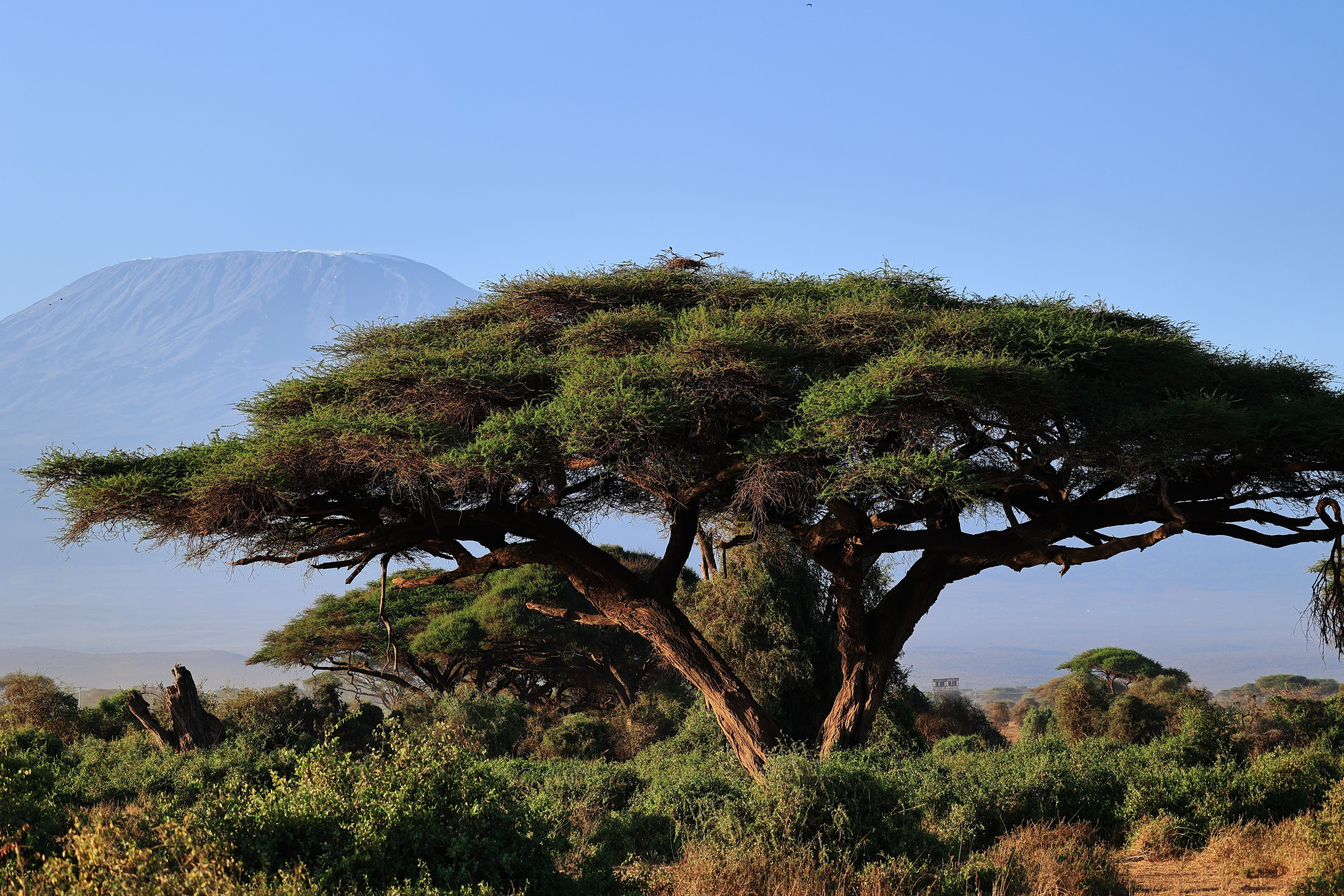 Longonot Summit & Lake Naivasha Boat Safari (2 Days)