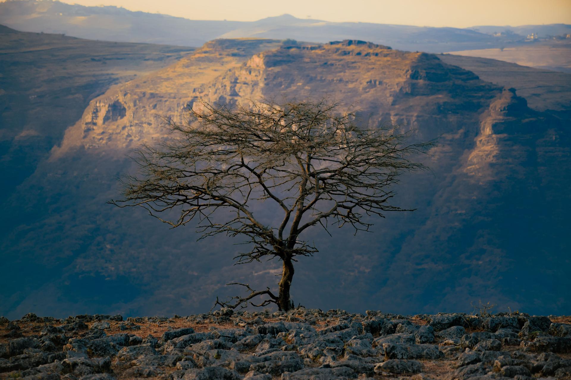 Mount Kilimanjaro Climb - Machame Route (7 Days)