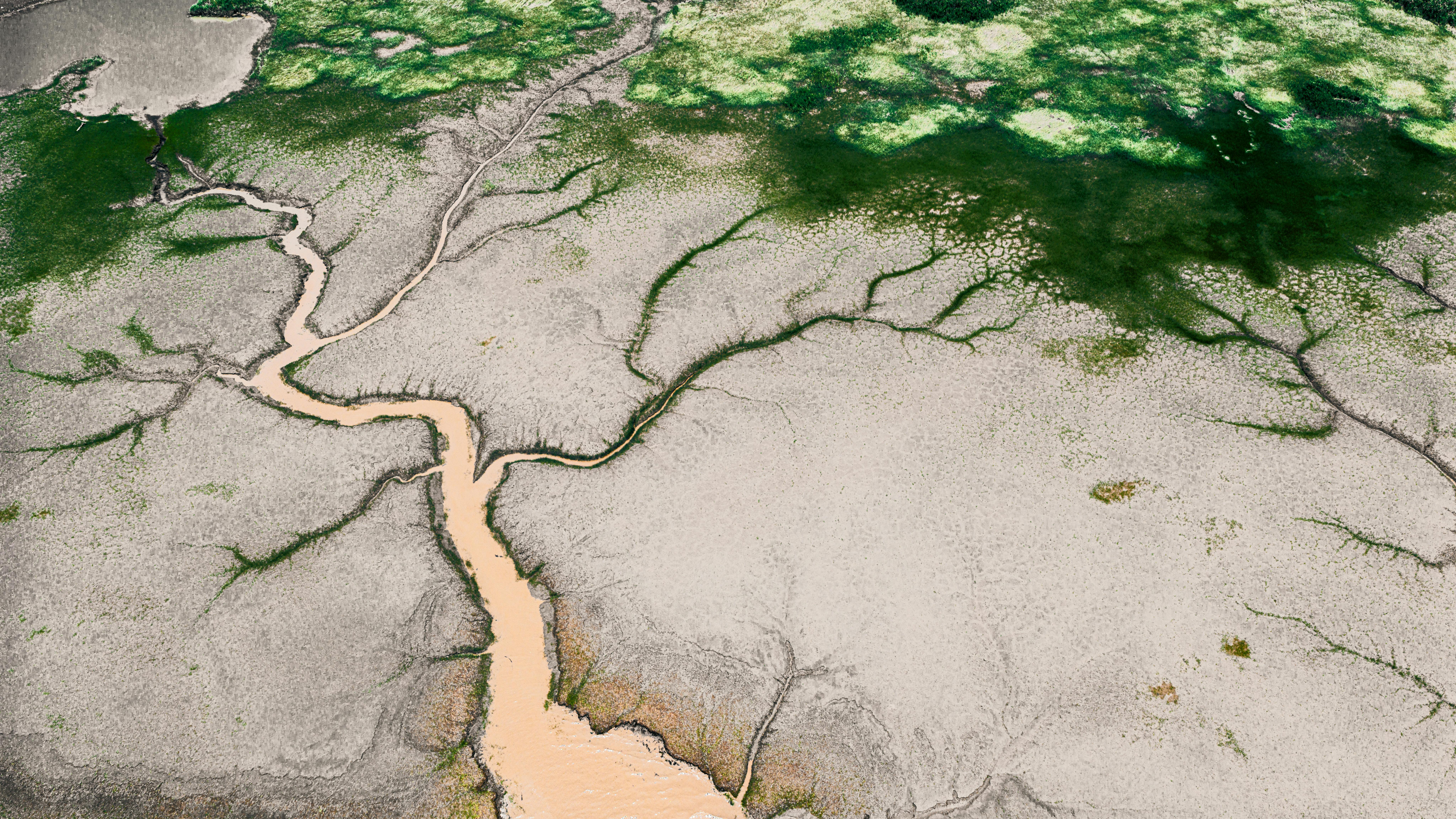 Senegal Dakar & Sine Saloum Delta