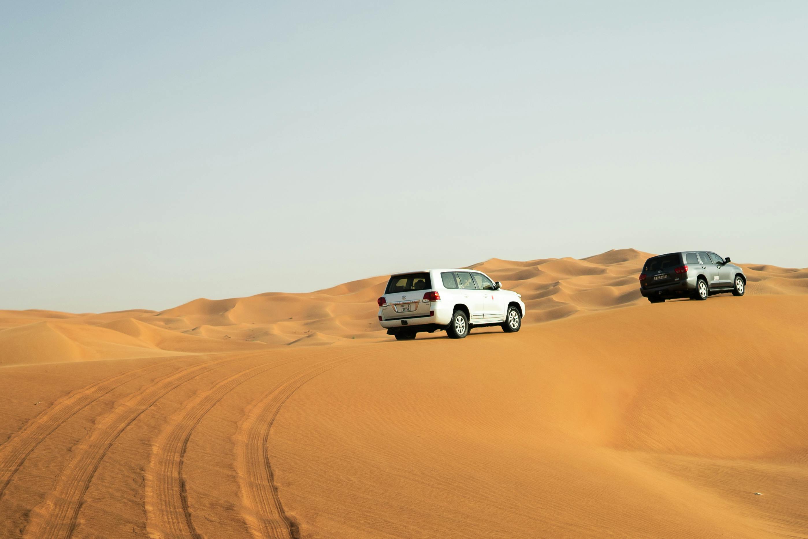 Dubai Desert & City Escape