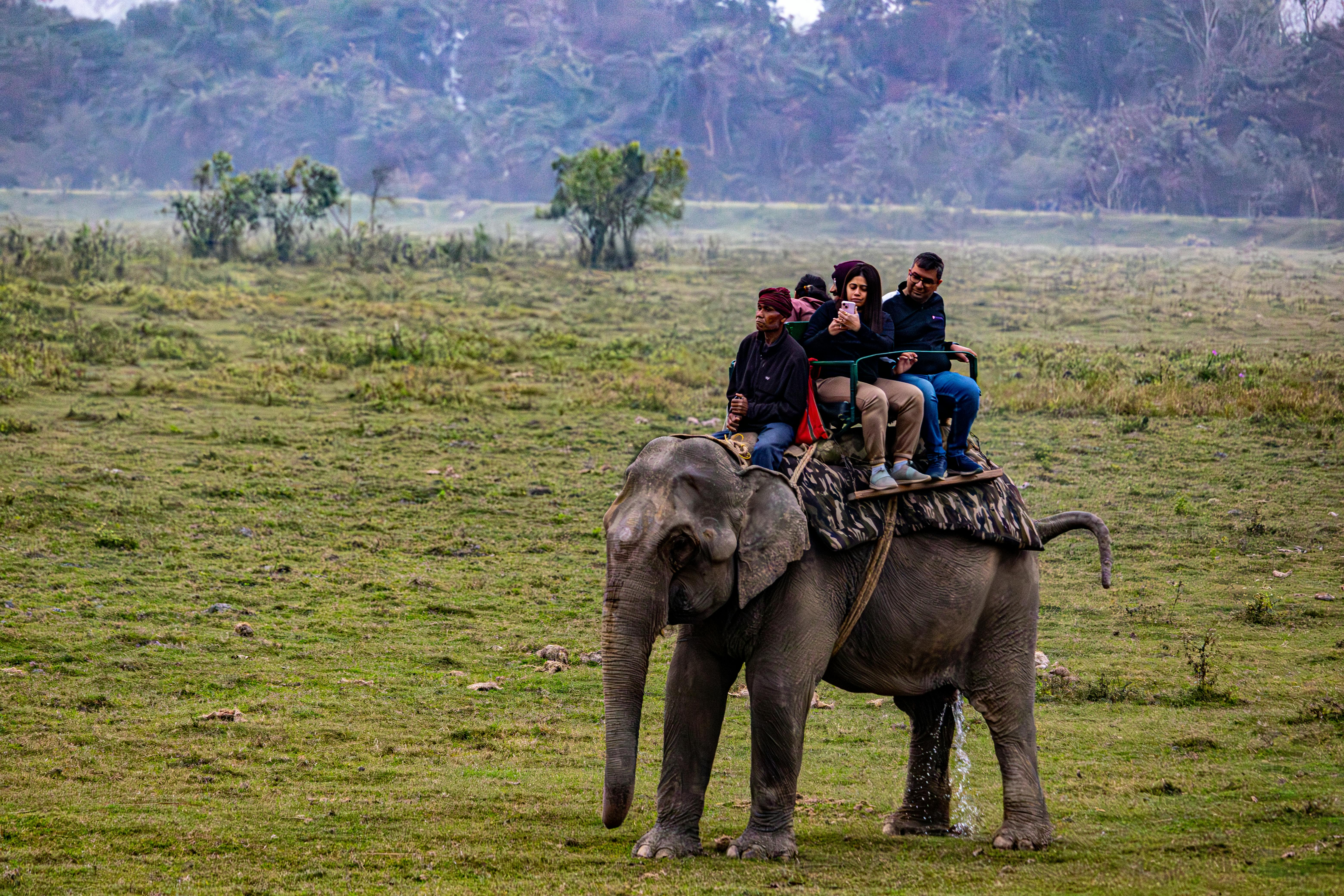 Amboseli Elephant Experience