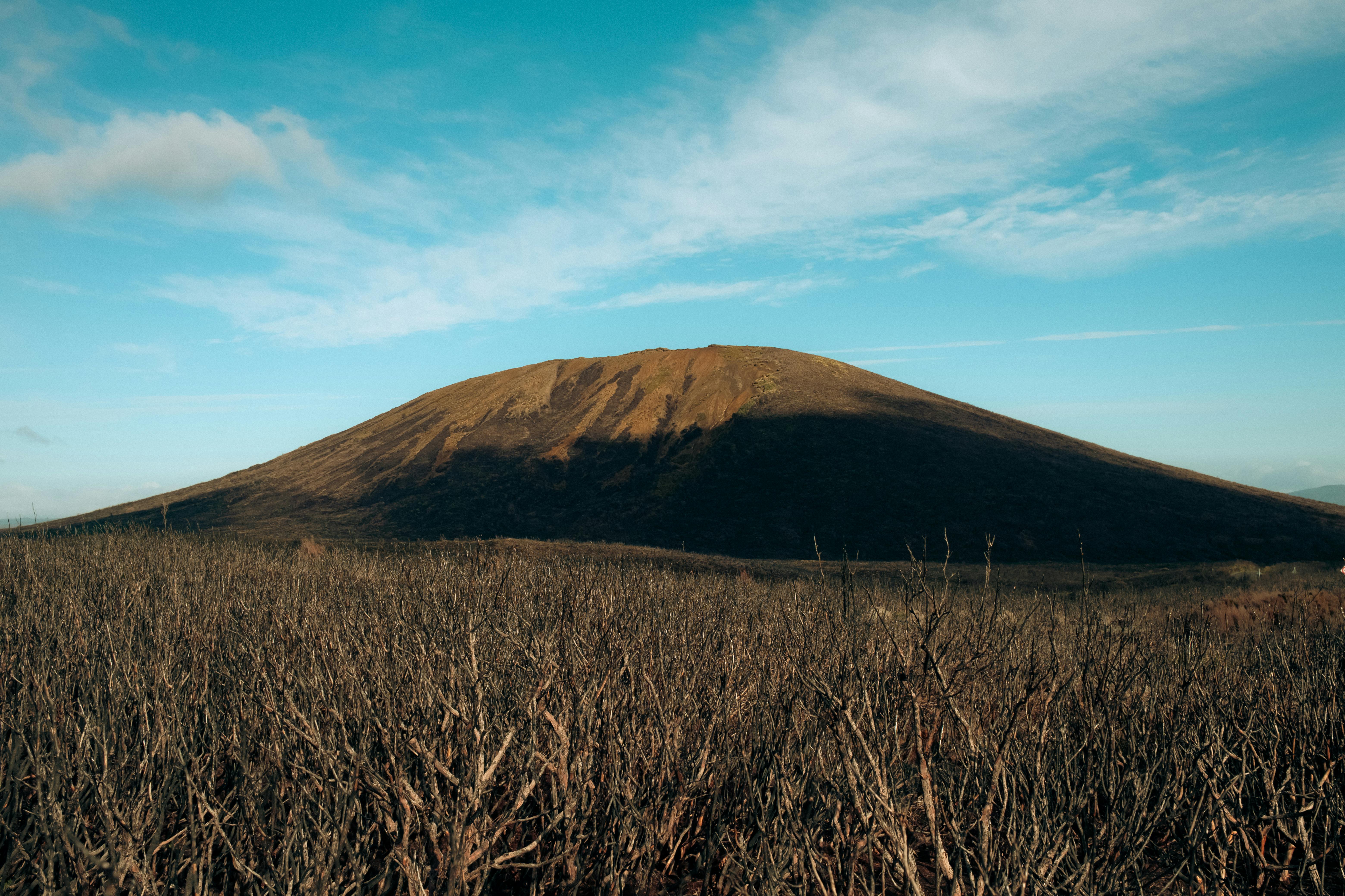 Mount Longonot Day Hike