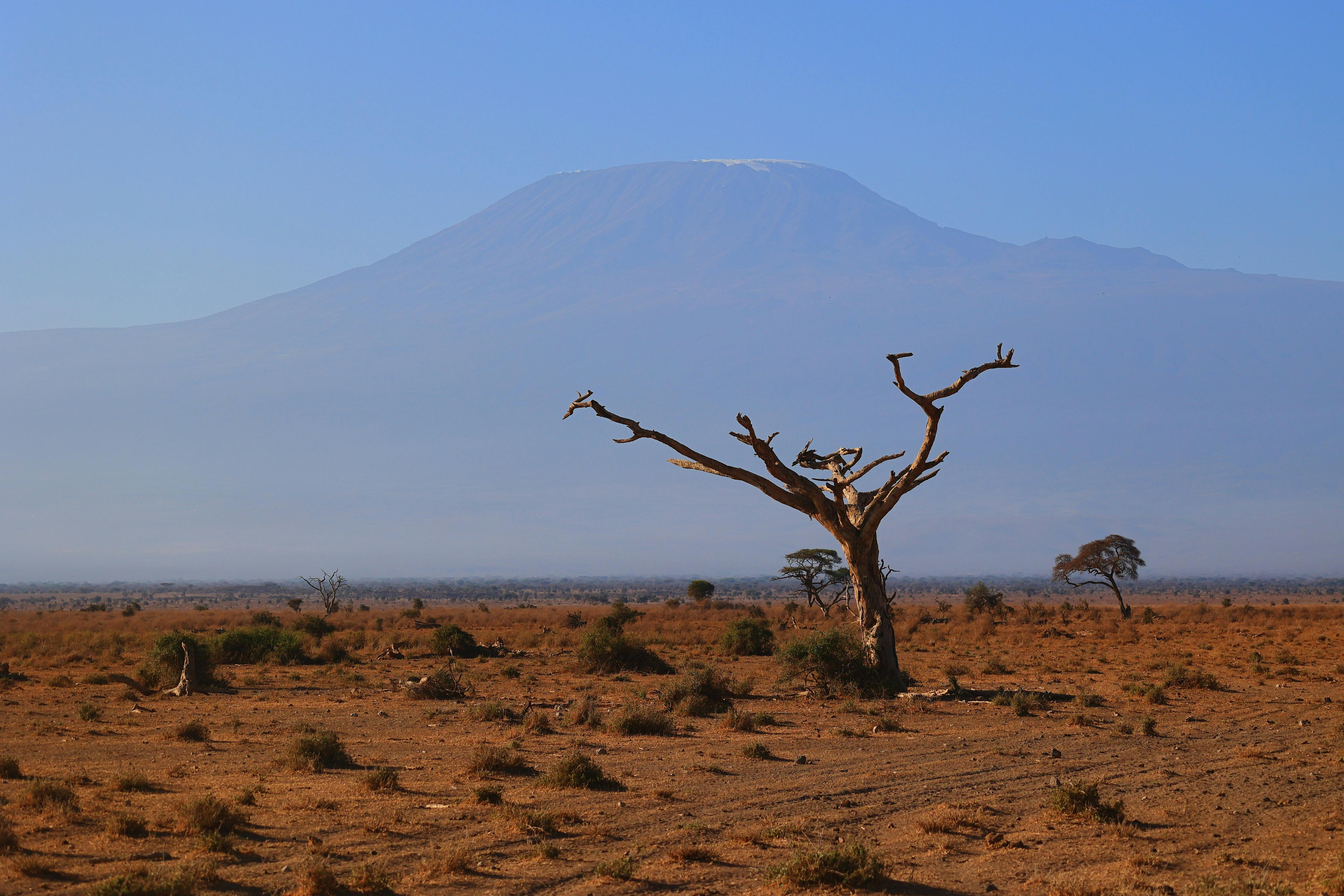 Mount Kenya Climb - Sirimon Route (5 Days)