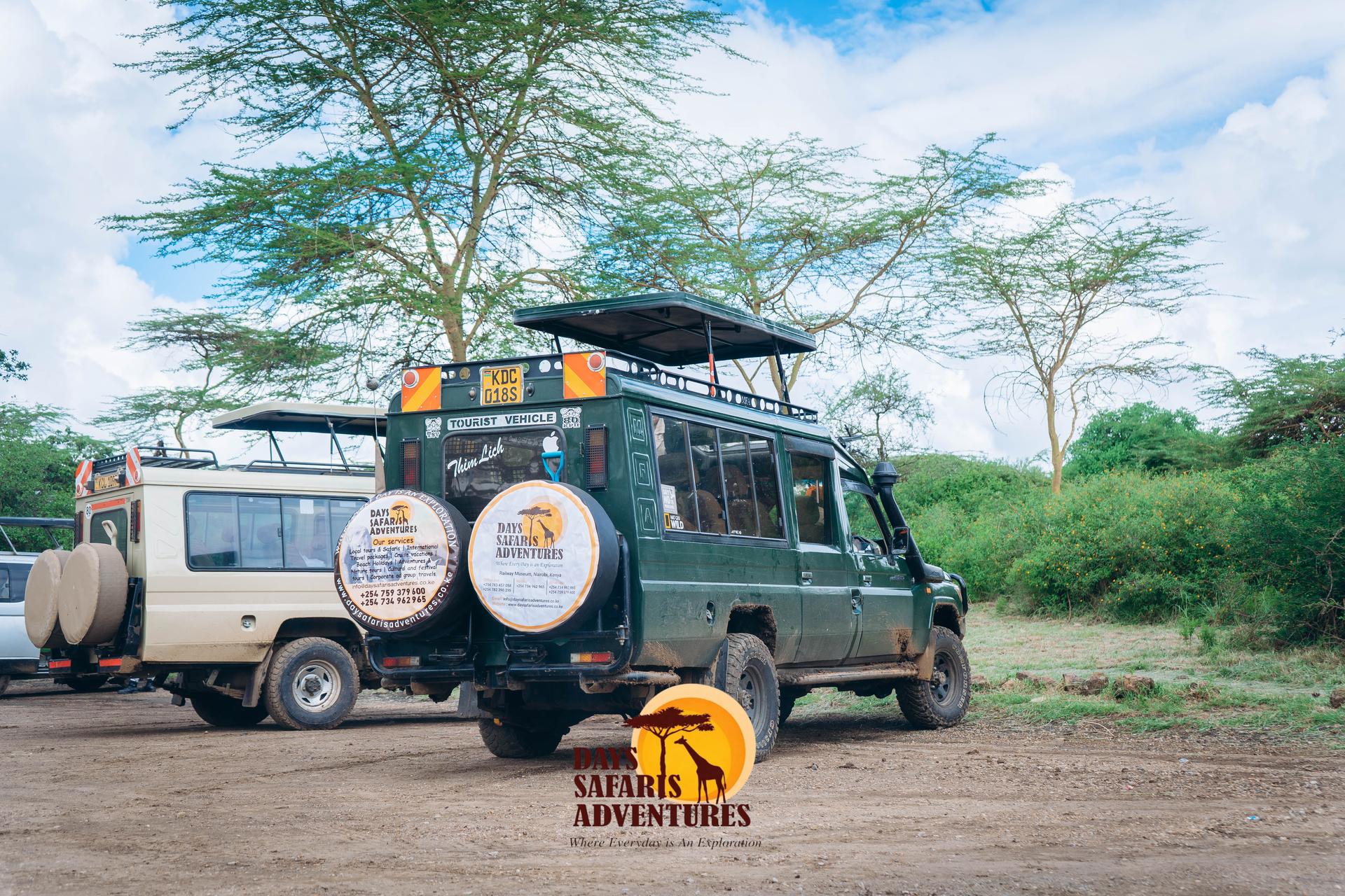 Best Time to Visit Kenya: A Month-by-Month Safari Guide