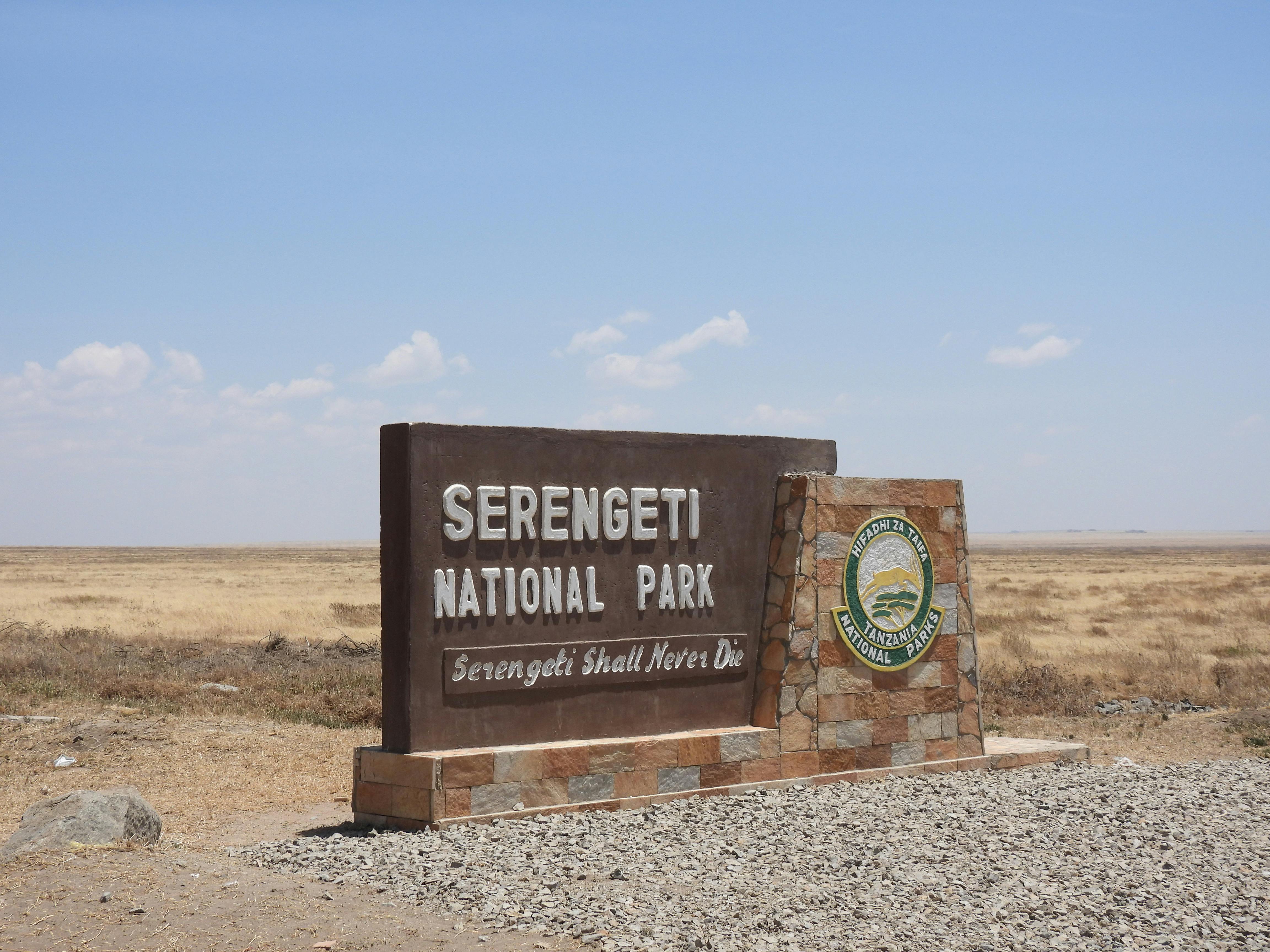 Top 10 Tips for Your First Safari