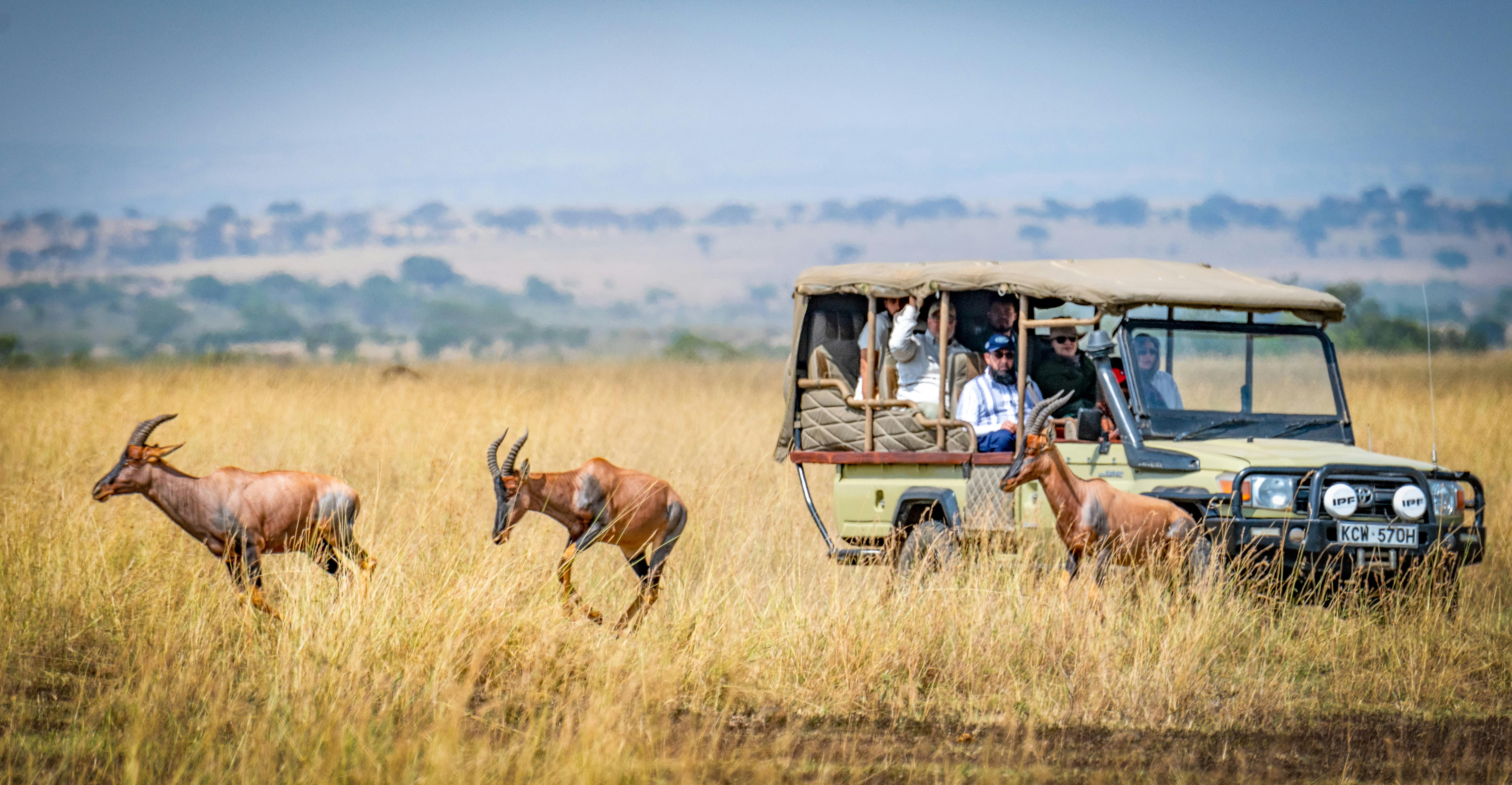 Maasai Village
