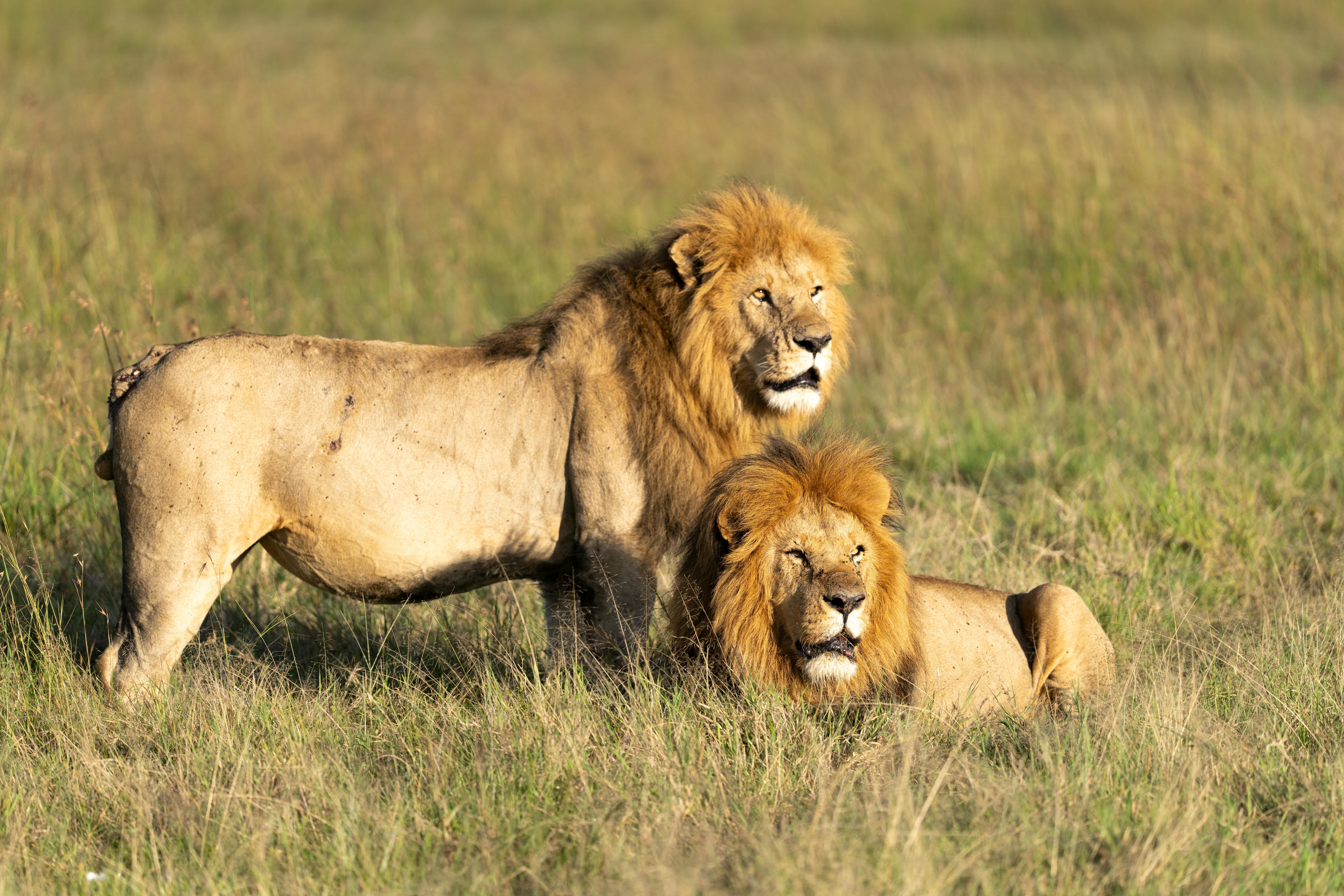 Amboseli National Park