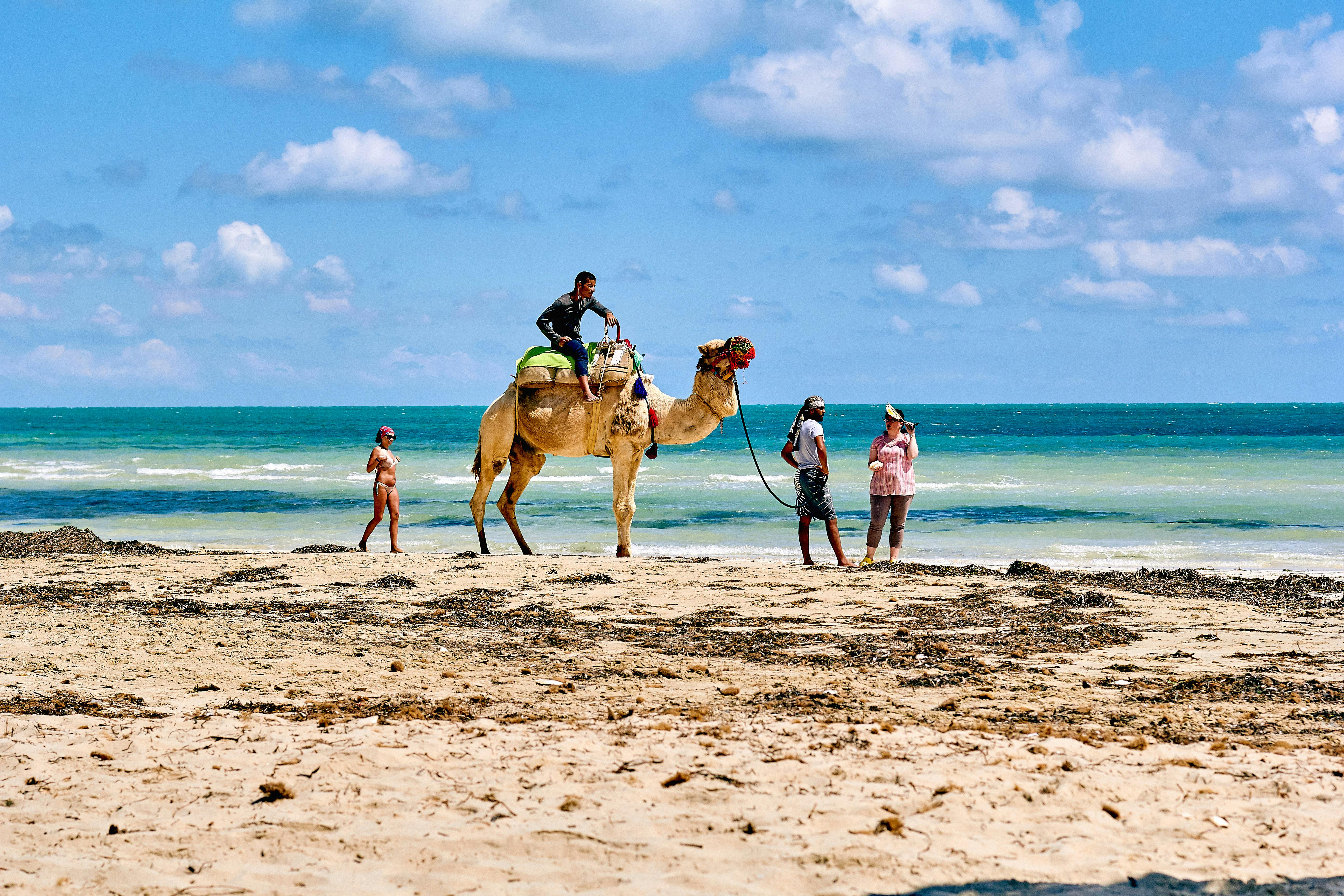 Diani Beach
