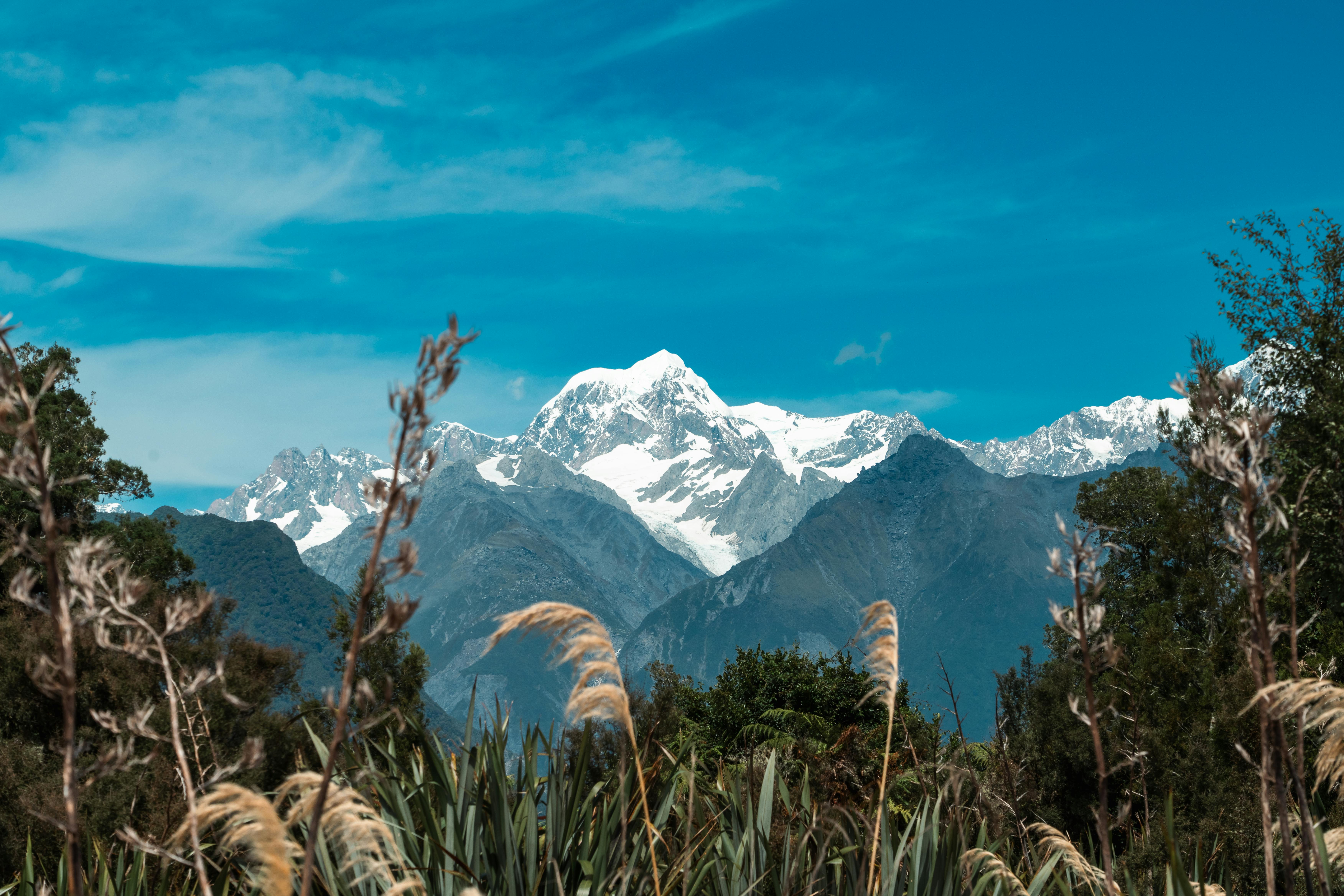 Mount Rwenzori