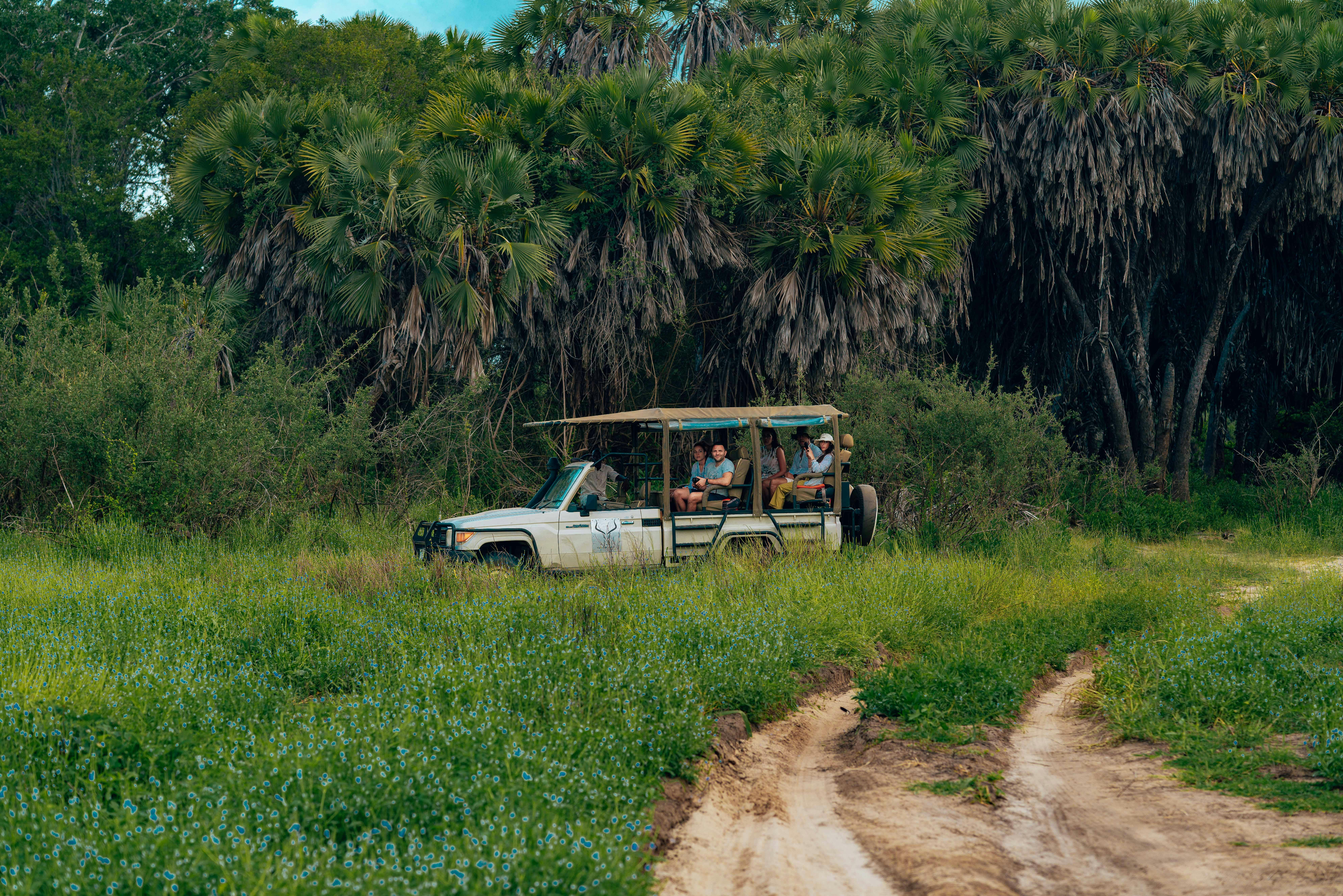 Selous Game Reserve