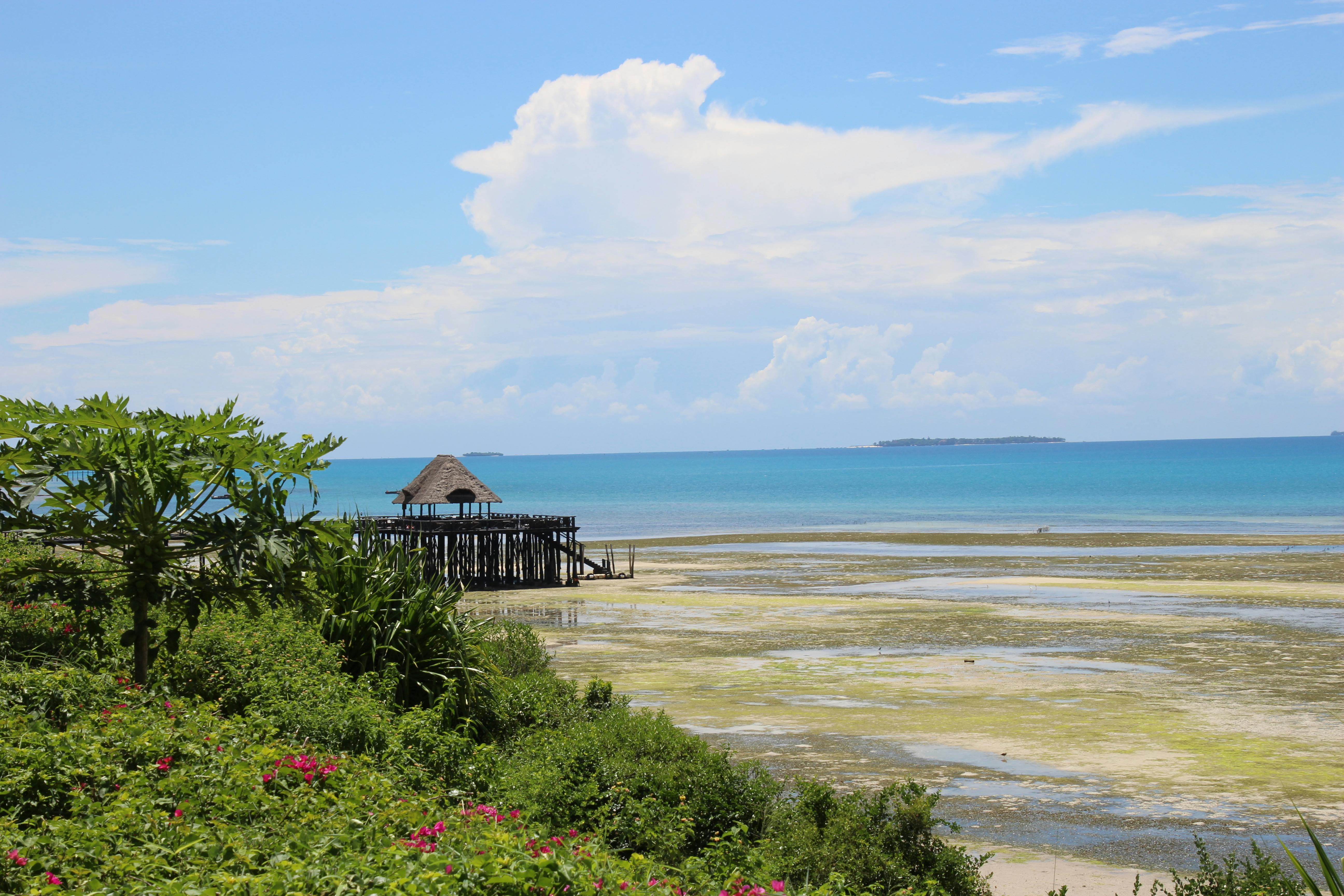Zanzibar Beach