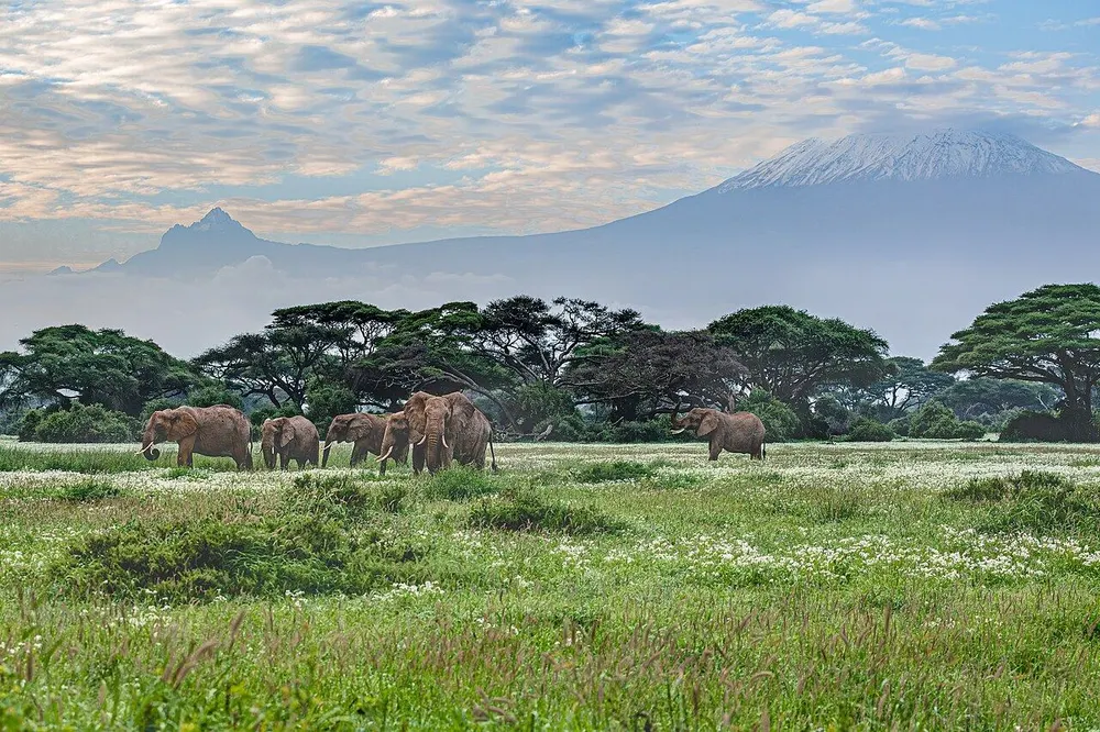 How Much Does an Amboseli Safari Cost? A Budget Guide