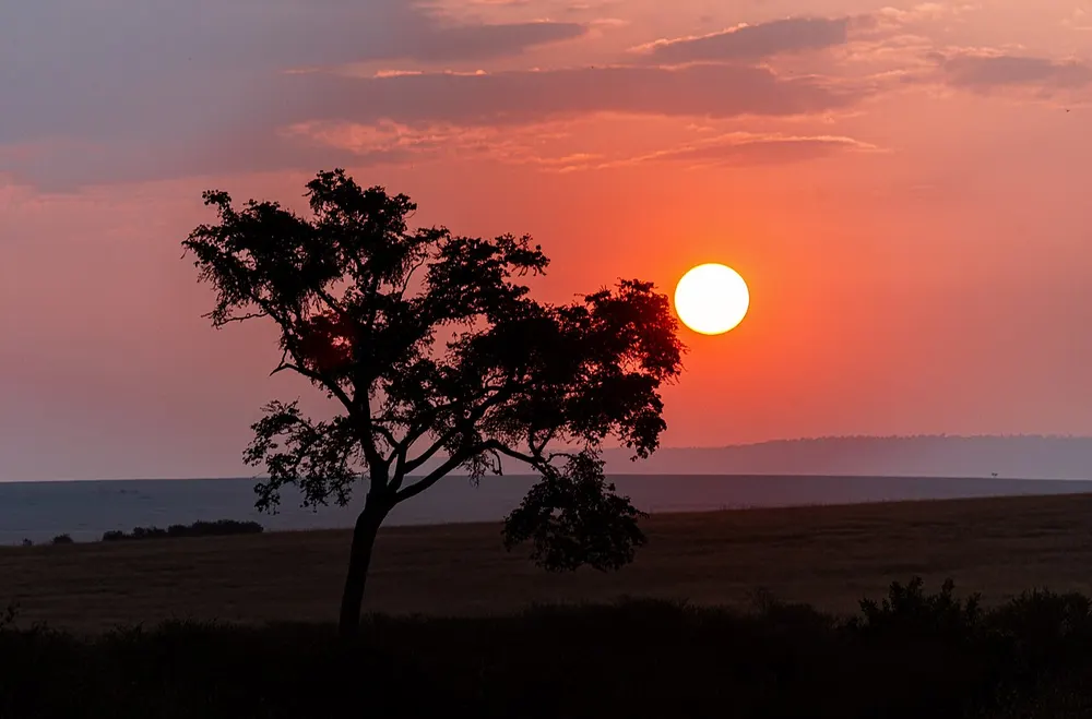 Kenya Safari Budget Guide: Plan Your Trip Without Stress