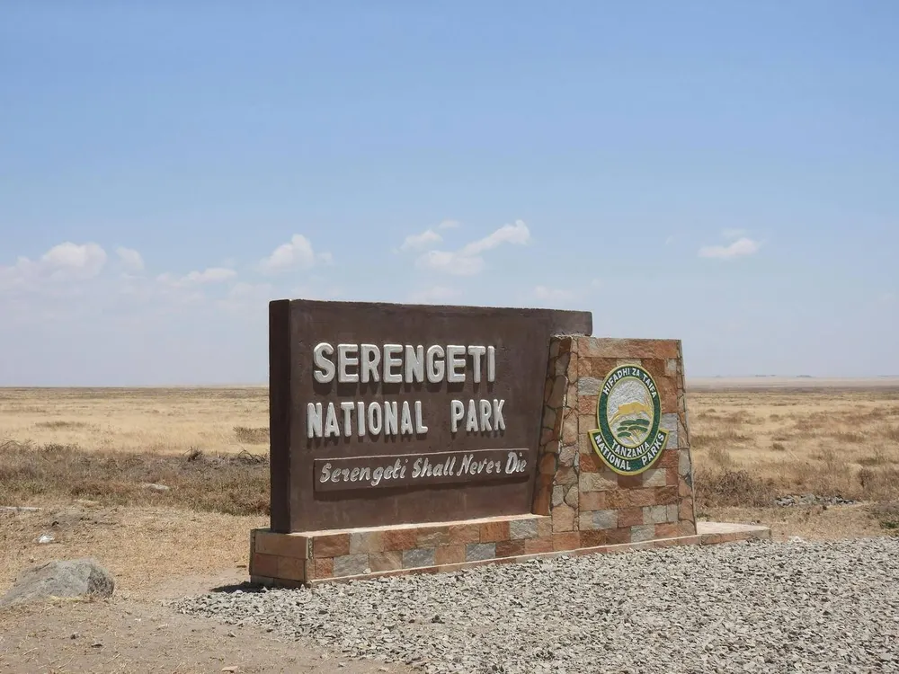 Top 10 Essential Safari Tips for First-Time Visitors to Kenya
