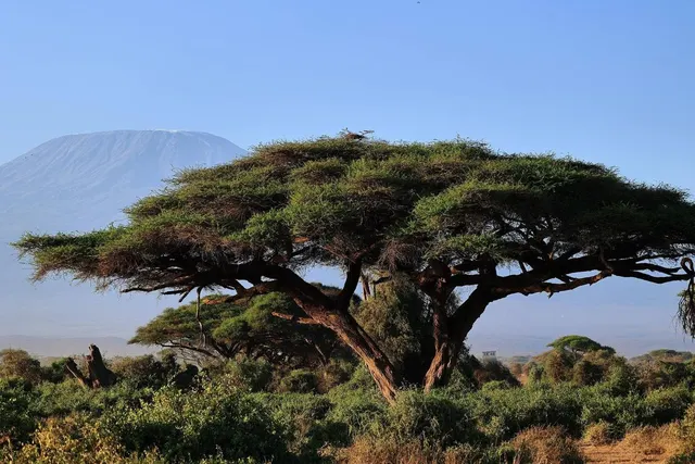 Longonot Summit & Lake Naivasha Boat Safari (2 Days)
