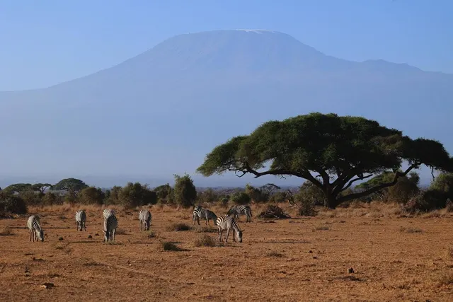Mount Meru Climb - Momella Route (4 Days)