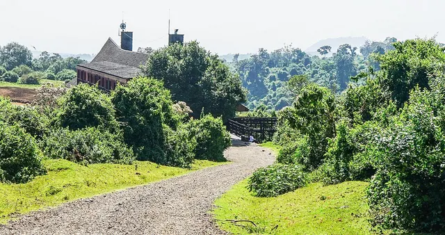 Aberdare National Park: Wildlife Safari and Waterfall Hike