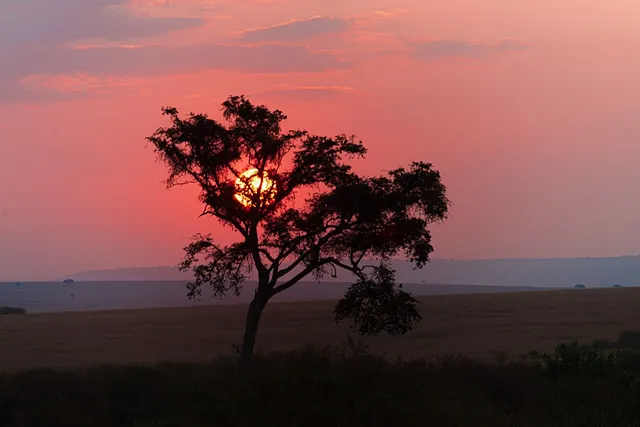 Christmas and Festive Holiday Packages in Kenya