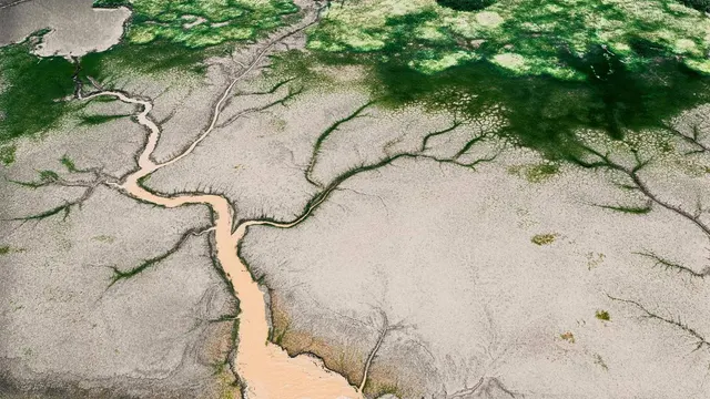 Senegal Dakar & Sine Saloum Delta