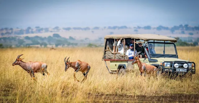 Best Time to Visit Kenya for a Safari in 2026