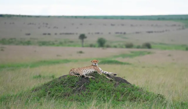 Serengeti National Park